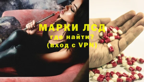гидра Алзамай